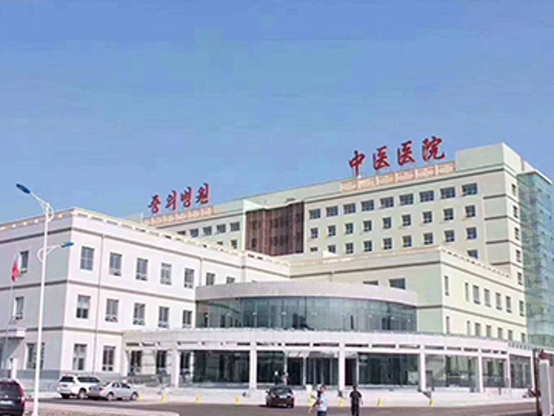 在填写中医诊疗技术和方法时,可以采用哪些具体步骤?