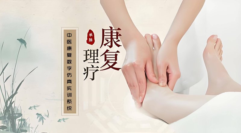 老中医的春天：传统智慧与现代医疗的融合